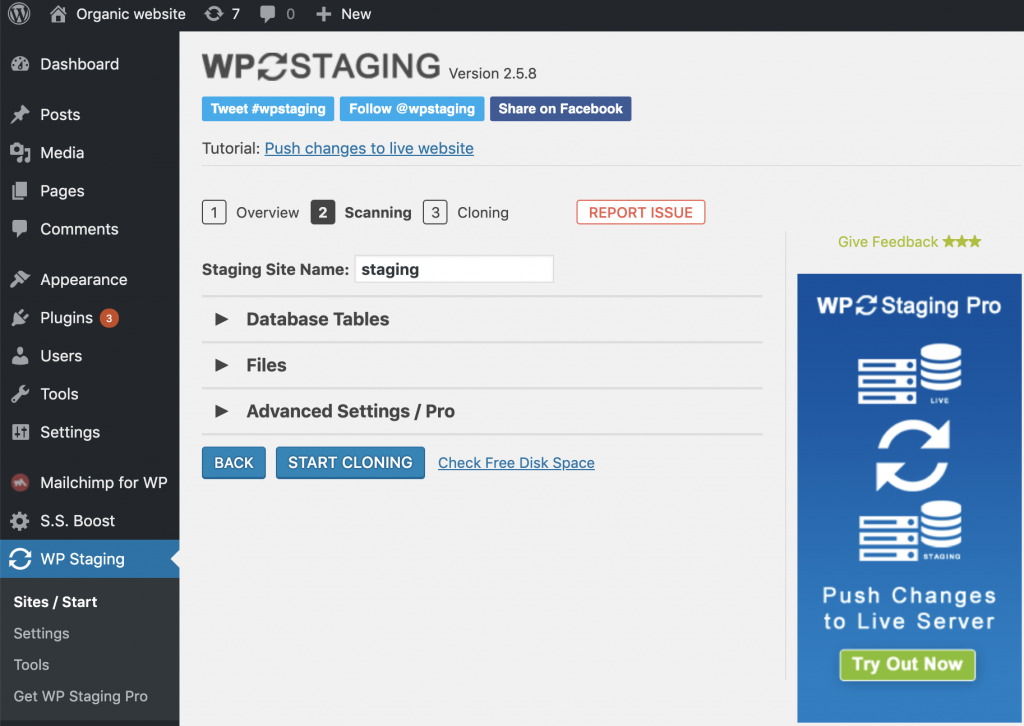 wordpress staging